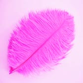 Strucctoll 15-20 cm - ROSA SHOCKING #91